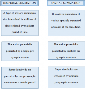 Temporal Vs Spatial Summation
